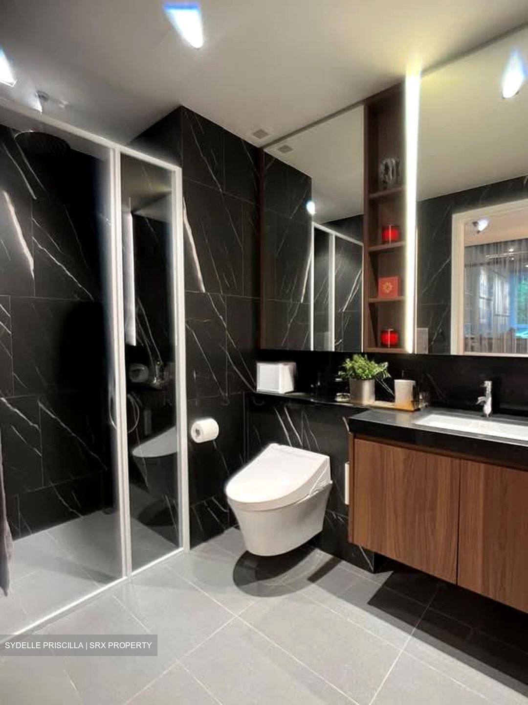 THE ARCADY AT BOON KENG (D12), Apartment #560328081